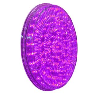 Plot de leds violettes