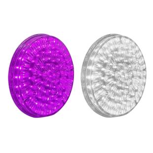 Plot a leds violettes