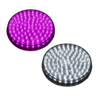 plot-leds-violet-et-blanc