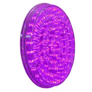 Foyer leds violet et blanc