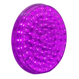 Foyer leds violettes